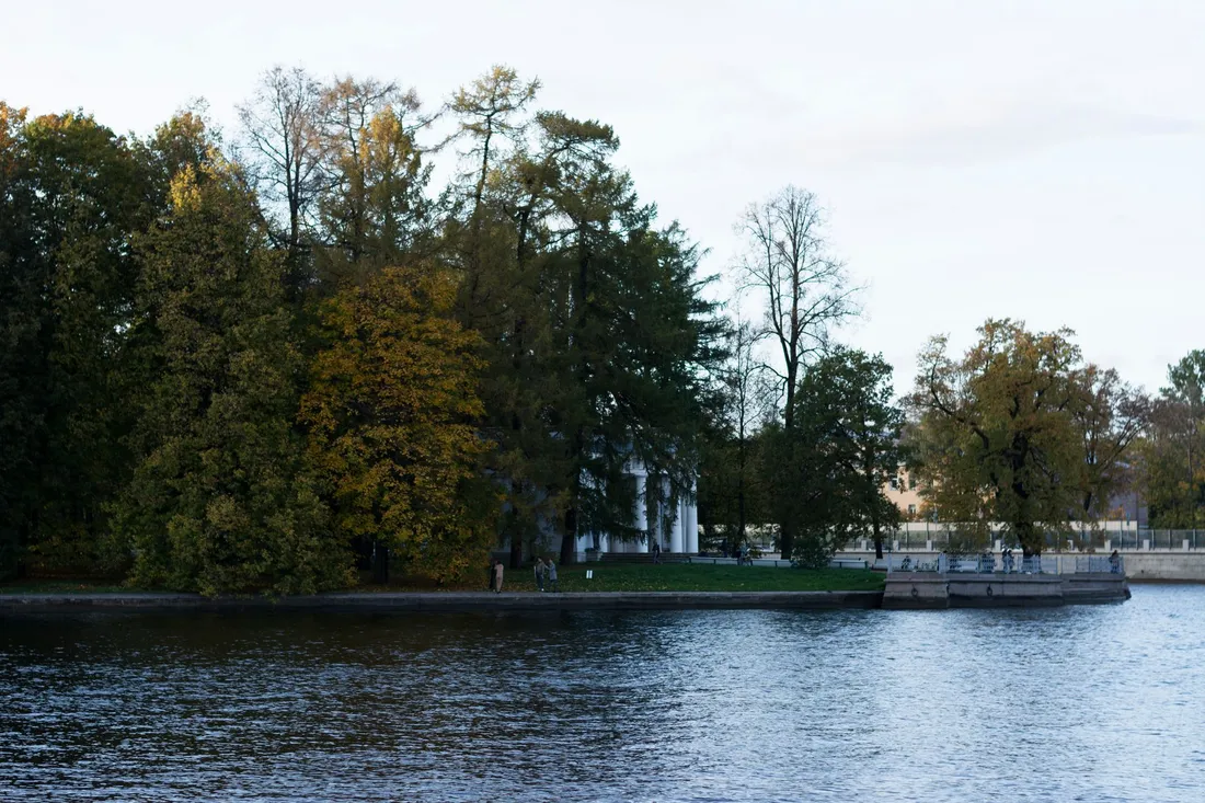 Seeufer mit alten Bäumen am Wasser